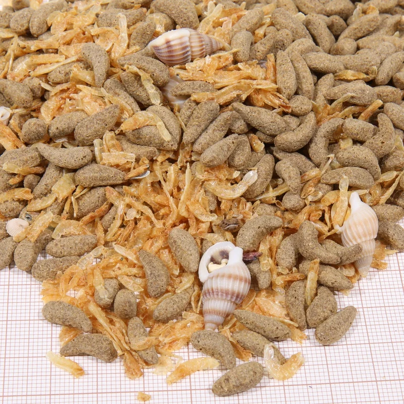 ProTerra JBL Molluscus - Escargots entiers, gammares et bâtonnets au poisson pour diversifier l’alimentation de toutes les tortues d’eau et cistudes