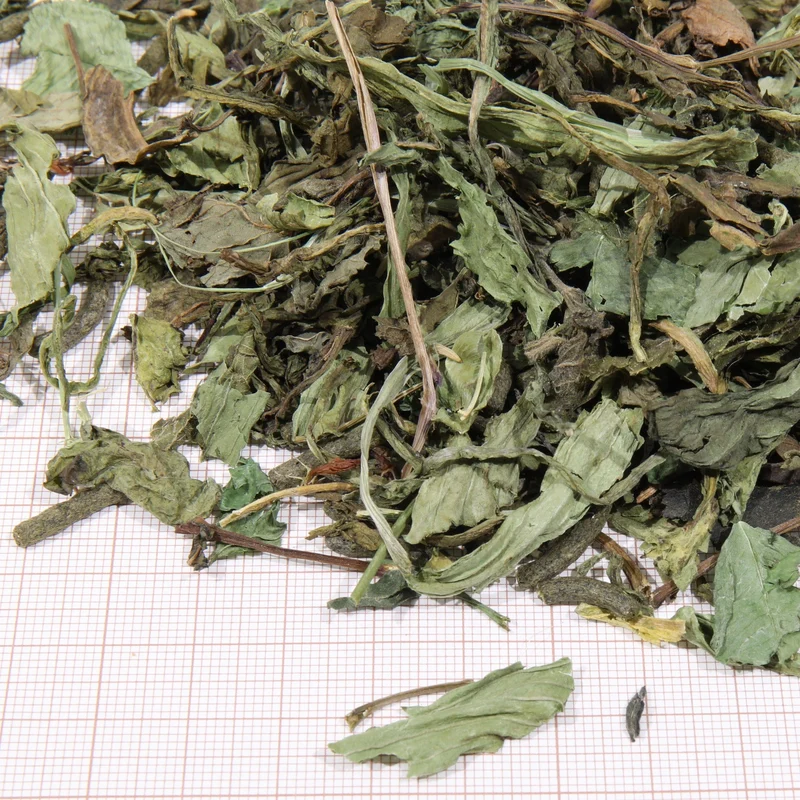 ProTerra JBL Herbil - Aliment de base aux herbes pour toutes les tortues terrestres