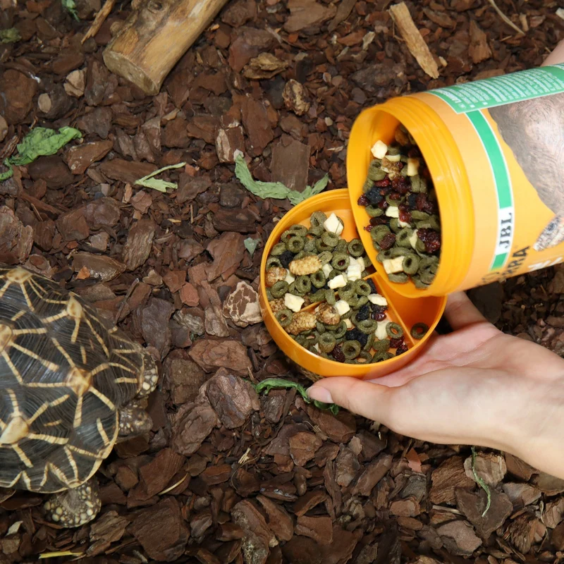ProTerra JBL Fructil - Aliment de base aux fruits pour une alimentation variée de toutes les tortues terrestres