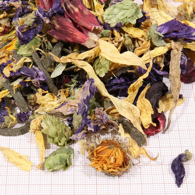 ProTerra JBL Florsil - Aliment de base aux fleurs pour une alimentation variée de toutes les tortues terrestres