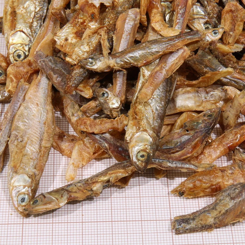 ProTerra JBL Pescarus - Friandises à base de poissons entiers et de crevettes pour toutes les cistudes et tortues d'eau