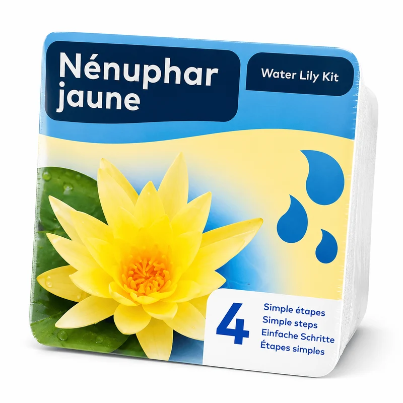 💛 Kit Nénuphar Jaune Prêt à Planter Aquifleur – Nymphaea avec Panier, Terreau & Gravier