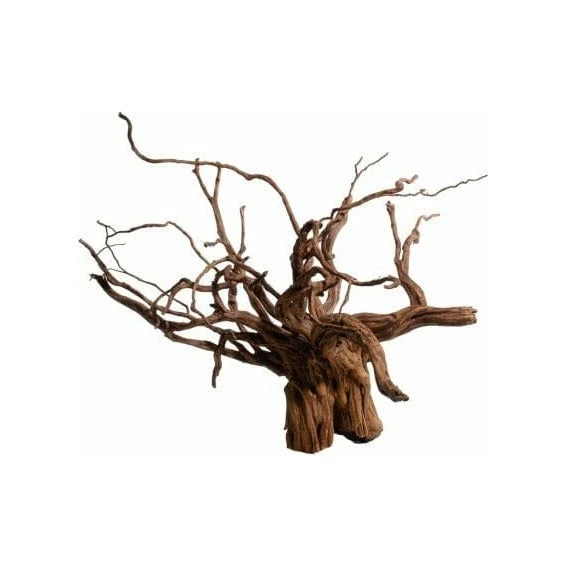 RED MOORWOOD MINI 10-20CM PC