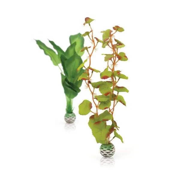 biOrb Set plantes soyeuses M vertes