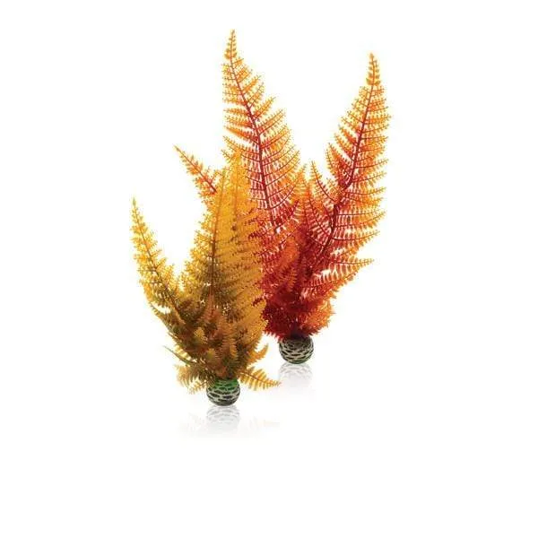 biOrb Set de plantes couleurs d'automne