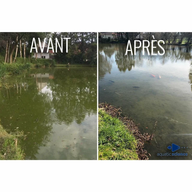 Clean-Lac 350g pour 25m² - Bactéries pour étang naturel - Eau claire & réduction de la vase et des algues
