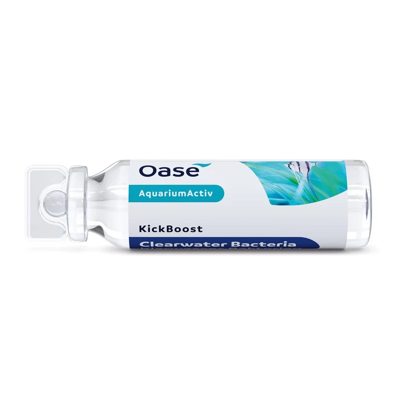 KickBoost Bactéries pour eau claire - 30ml