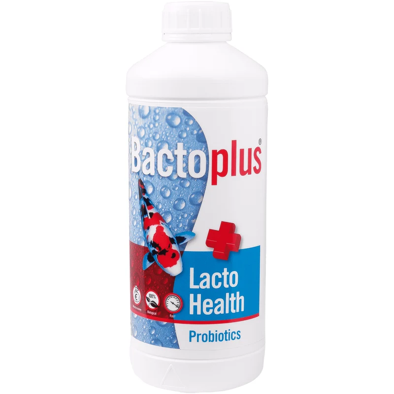 BactoPlus Lacto Health 1L pour 20M³ - Probiotique composé de bactéries lactiques