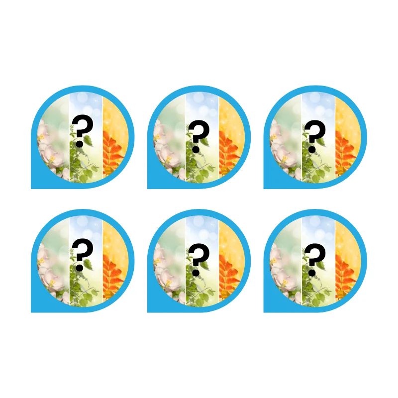 Pack de la semaine - Plantes de saison