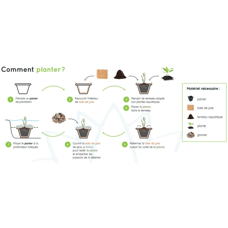 Pack de plantes aquatiques - 70 plantes pour bassins jusqu'à 5000 litres