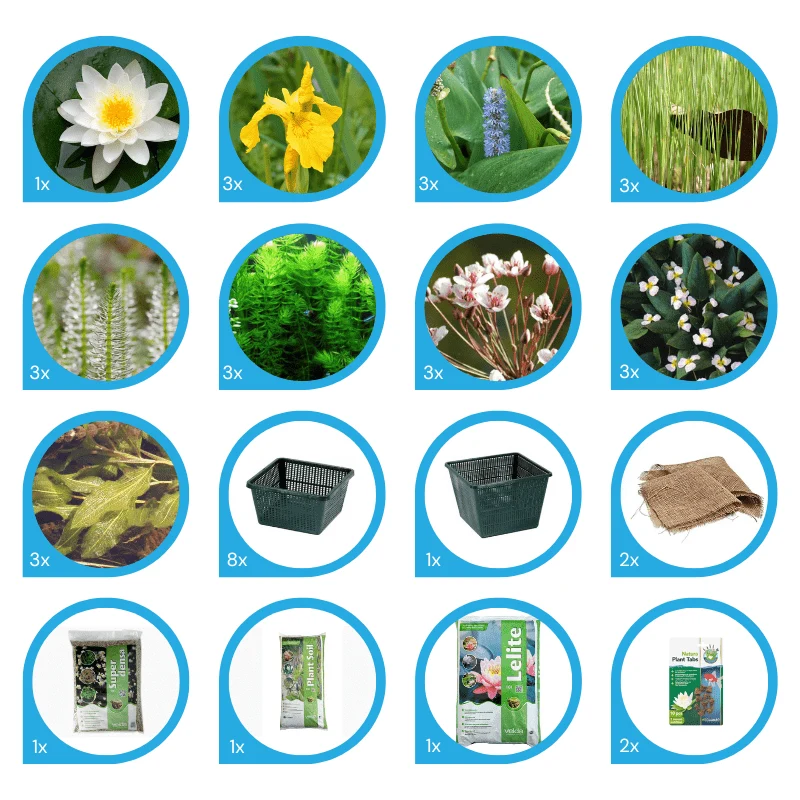 Pack de plantes aquatiques - 25 plantes pour bassins jusqu'à 2000 litres