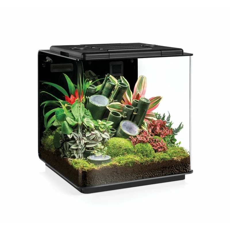 biOrb Earth 125 - Terrarium complet de très haute qualité