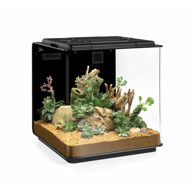 biOrb Earth 125 - Terrarium complet de très haute qualité