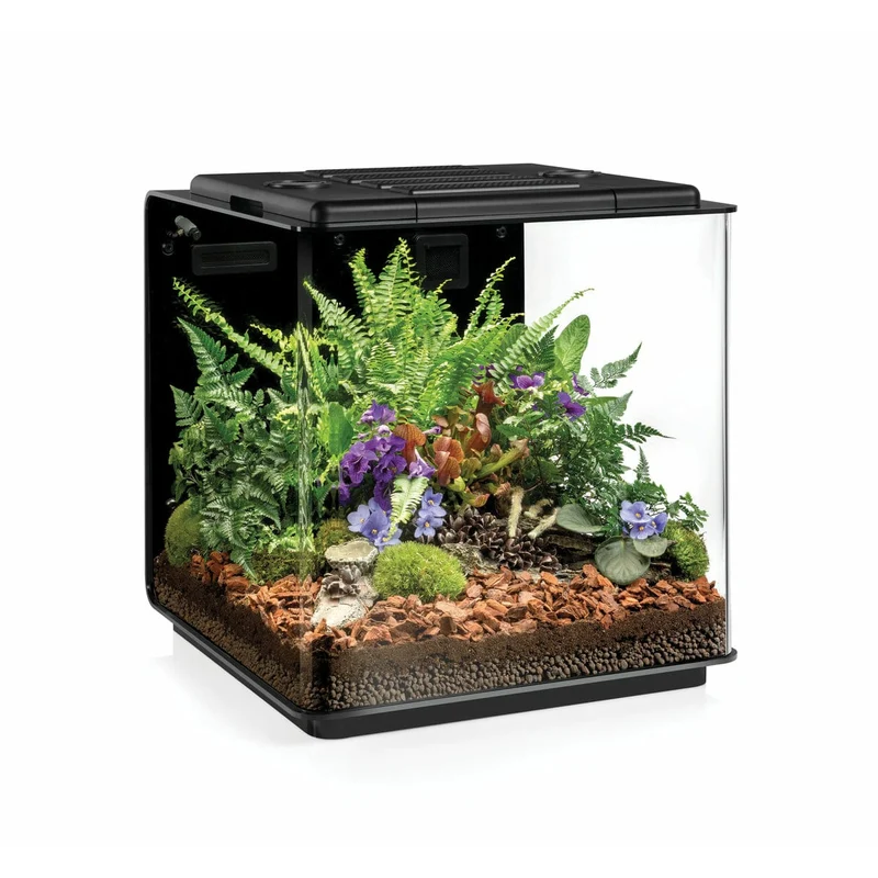 biOrb Earth 125 - Terrarium complet de très haute qualité