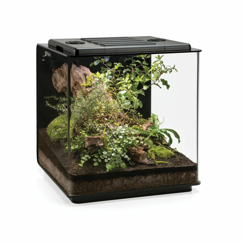 biOrb Earth 125 - Terrarium complet de très haute qualité