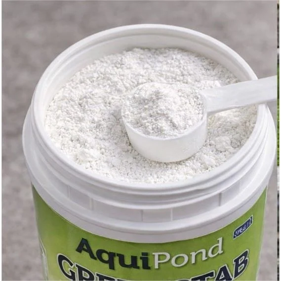 Aquipond Greenstab - Traitement naturel contre les algues du bassin (même en hiver)