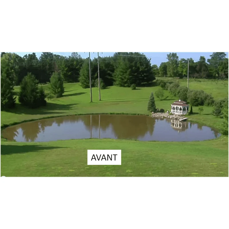 Aquipond Blue Lake 10 - 100g (1 sachet) jusqu'à 1000M² - Colorant naturel pour lutter contre les algues et plantes invasives