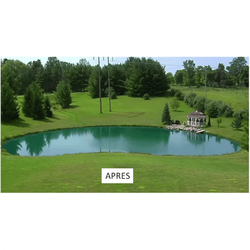 Aquipond Blue Lake 10 - 100g (1 sachet) jusqu'à 1000M² - Colorant naturel pour lutter contre les algues et plantes invasives