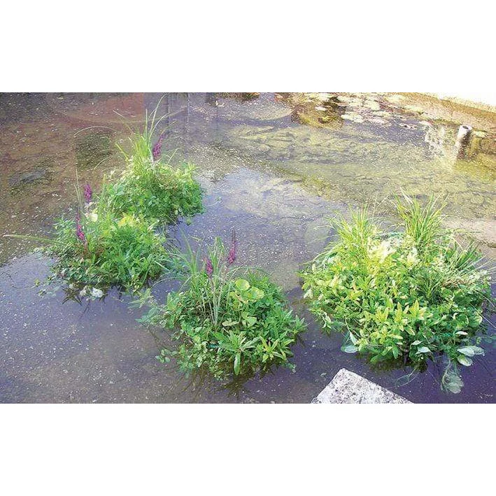 Île flottante pour plantes aquatiques rond 81CM