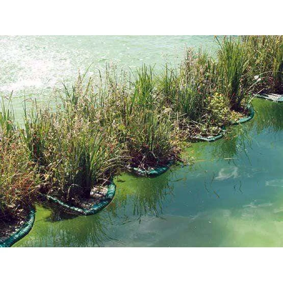 Île flottante pour plantes aquatiques en demi-lune 121CM