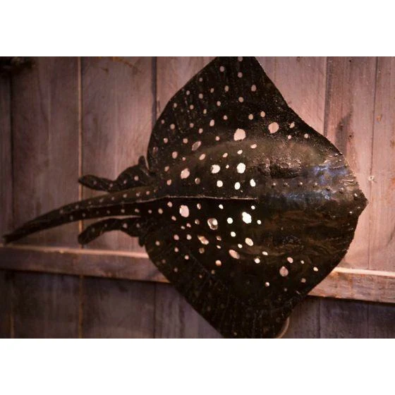 Applique Raie - Poisson décoratif en métal recyclé