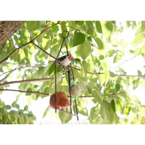 Chardonneret élégant – porte graisse modèle maison - Accessoire décoratif pour oiseaux