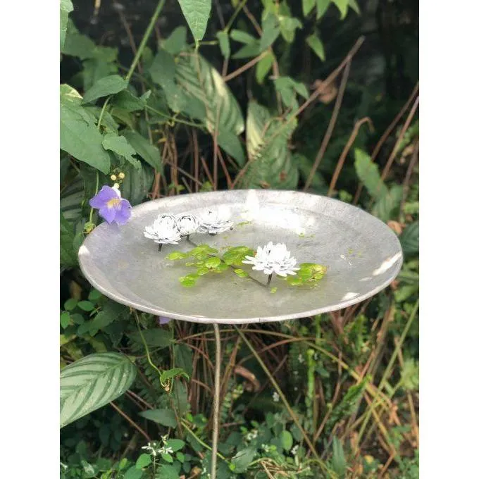 Bain Nymphea - Accessoire décoratif pour oiseaux
