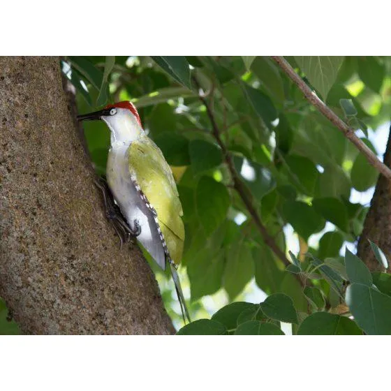 Pic vert à fixer - Oiseau décoratif en métal recyclé