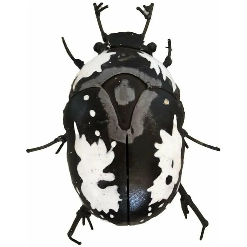 Scarabée Bébète l’argent - Insecte décoratif en métal recyclé