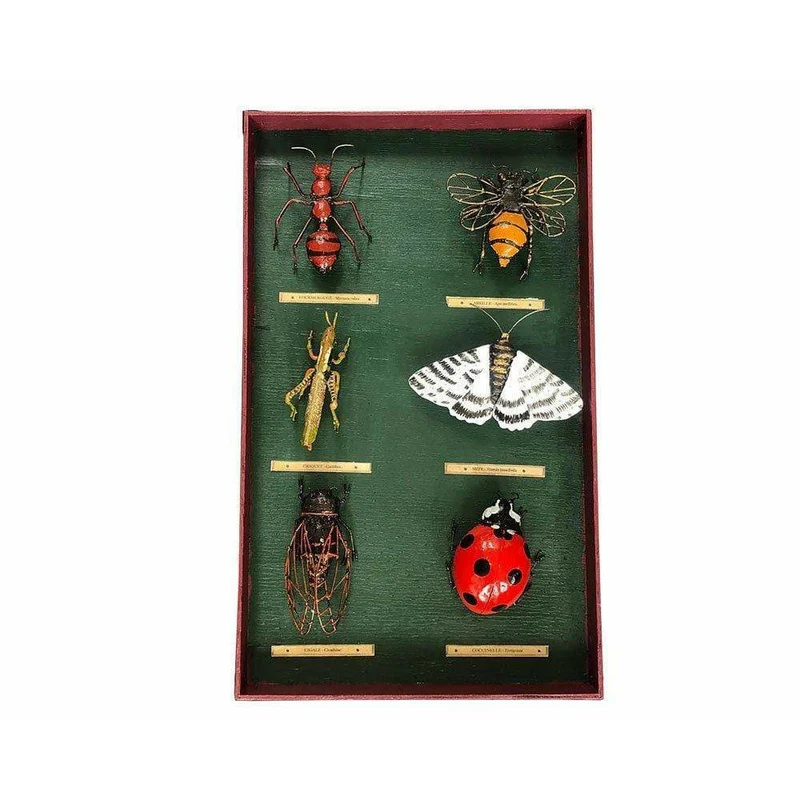 Tableau d’entomologiste insectes - Insecte décoratif en métal recyclé