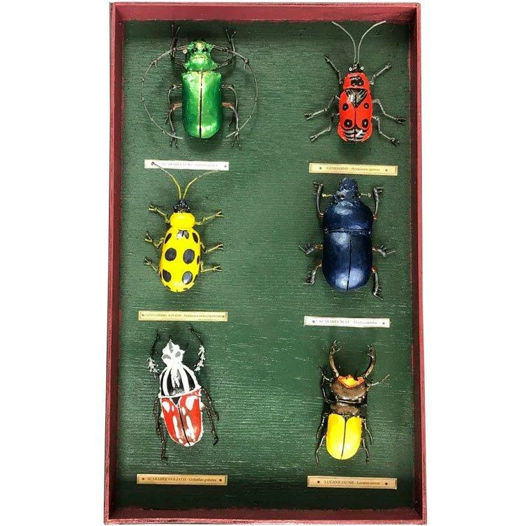 Tableau d’entomologiste Coléoptères - Insecte décoratif en métal recyclé