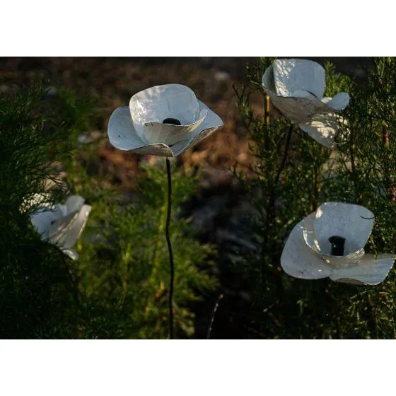 Pavot blanc & capsule - Végétal décoratif en métal recyclé