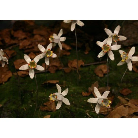 Narcisse – set de 10 - Végétal décoratif en métal recyclé