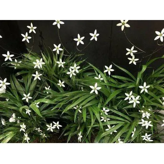 Fleur blanche - Végétal décoratif en métal recyclé