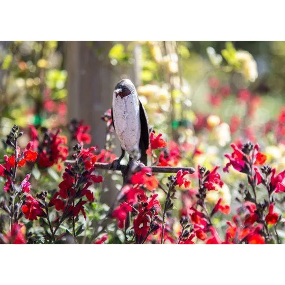 Tuteur 1 Hirondelle - Oiseau décoratif en métal recyclé