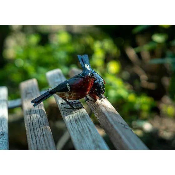 Bouvreuil – Couple - Oiseau décoratif en métal recyclé
