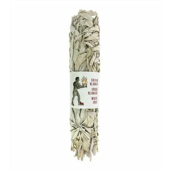 Sauge Blanche de Californie (22-25 cm)