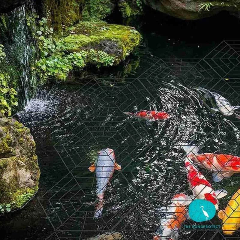 PondProtect - Barriere flottante "toile d'araignée" - Pack de 10pièces - Solution efficace contre les hérons
