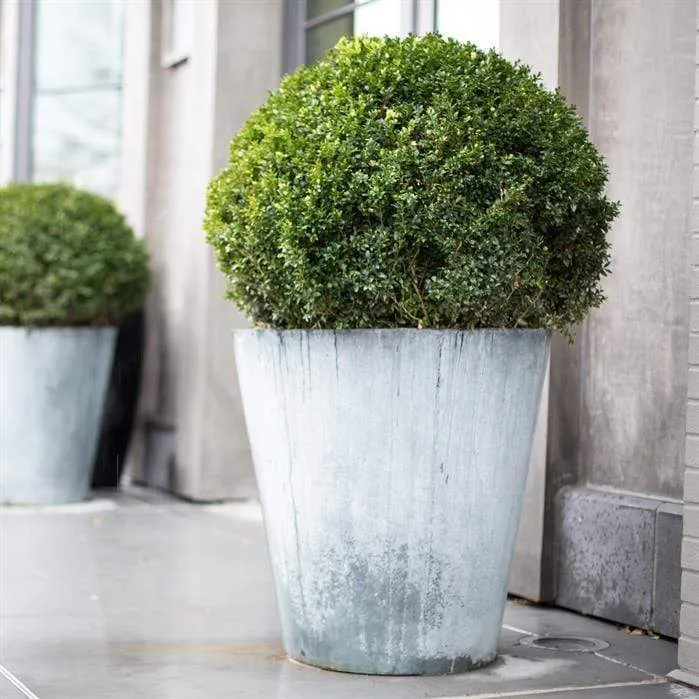 Jardinière en acier galvanisé - Vaza 1m x 1m
