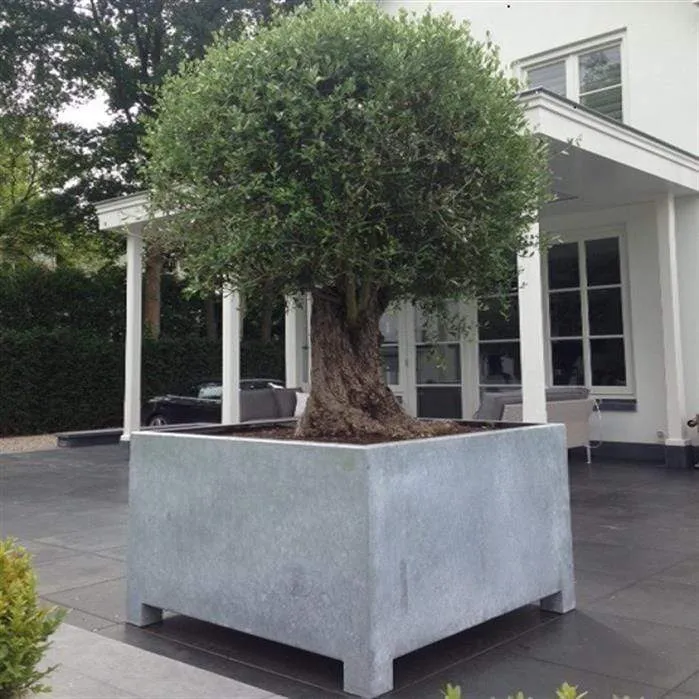 Jardinière en acier galvanisé - Vadim 1.5m x 0.5m x 0,6m