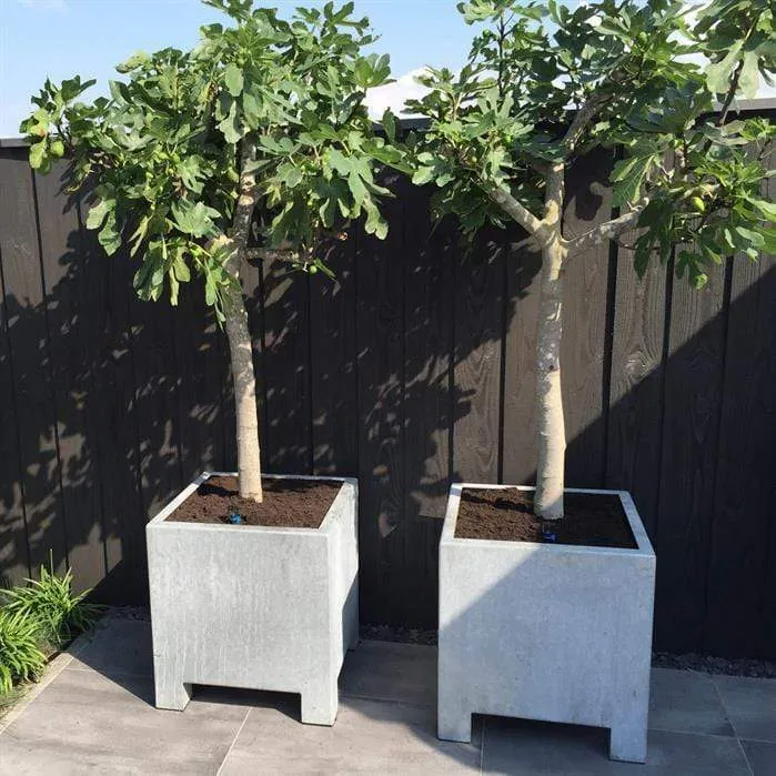 Jardinière en acier galvanisé - Vadim 0.8m x 0.8m x 0,8m