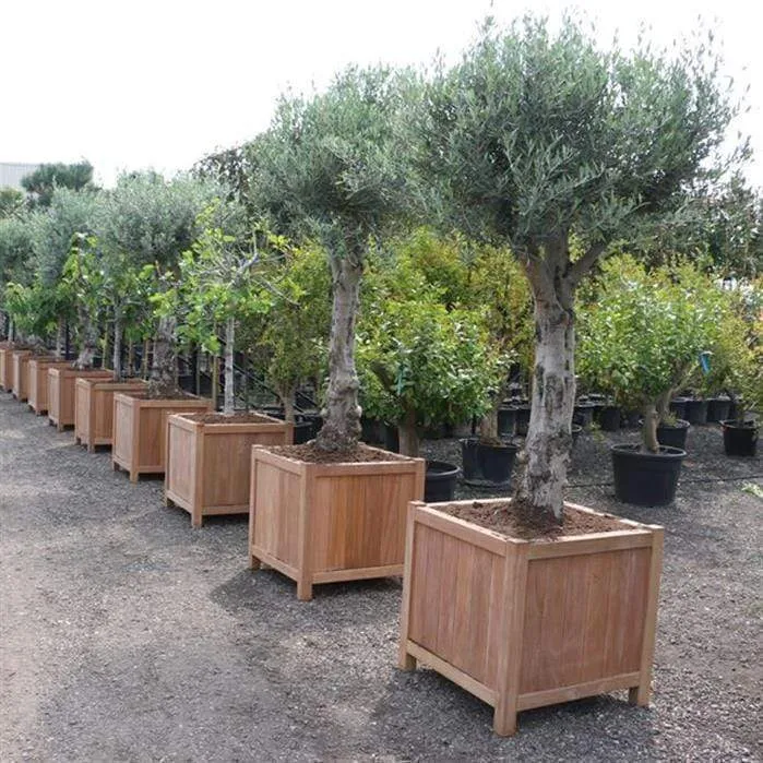 Jardinière en bois exotique - Valencia 2m x 0.5m x 0.6m