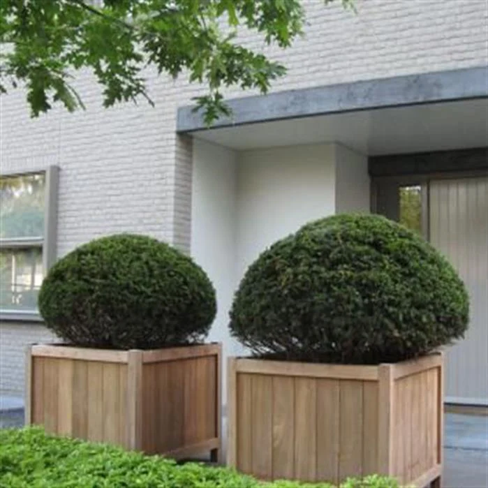 Jardinière en bois exotique - Valencia 0.7m x 0.7m x 0.7m