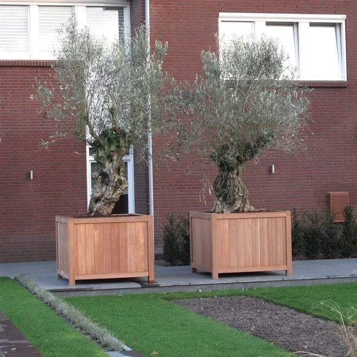 Jardinière en bois exotique - Valencia 1m x 1m x 0.6m