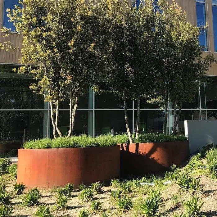 Jardinière en corten - Atlas sans fond 1.5m x 0.6m