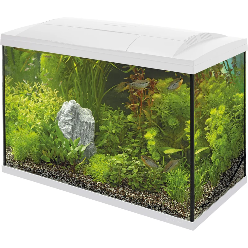 Aquarium Start 100 Tropical Kit Blanc - 100L - Superfish