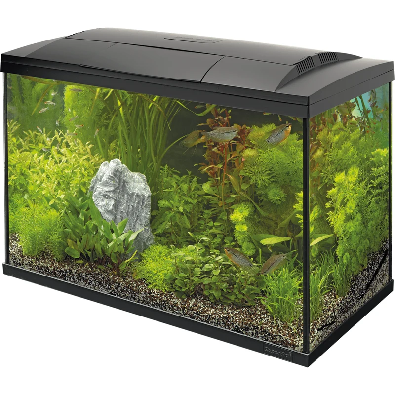 Aquarium Start 100 Tropical Kit Noir - 100L - Superfish