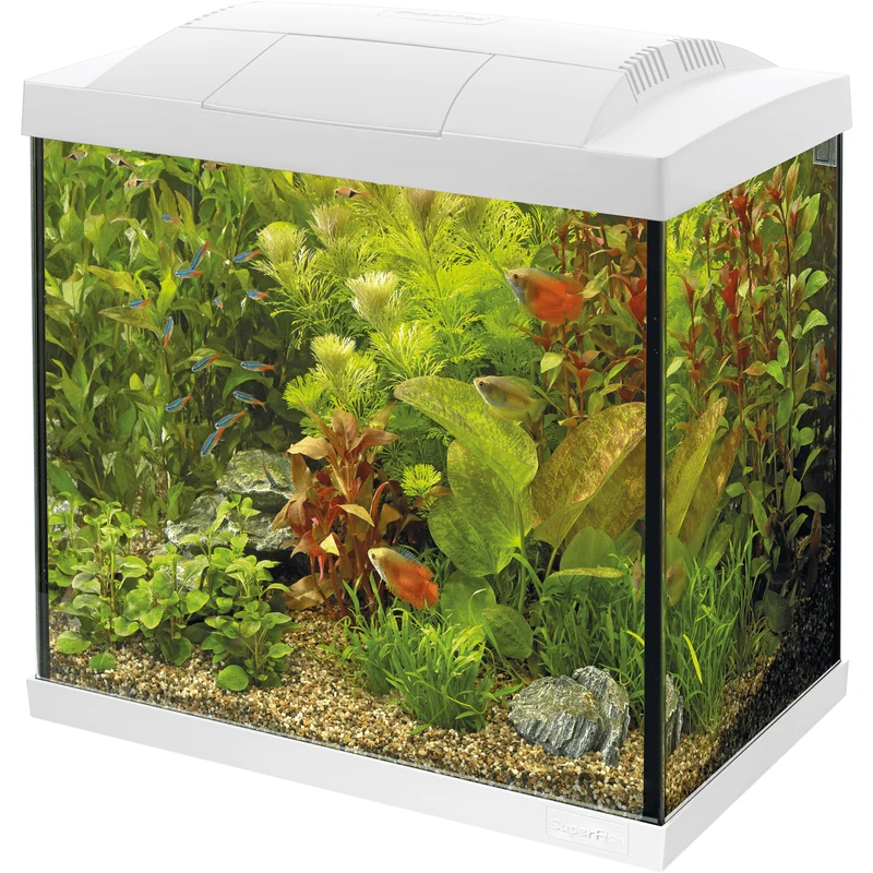Aquarium Start 30 Tropical Kit Blanc - 25L - Superfish