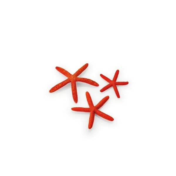 biOrb Set de 3 étoiles de mer rouges