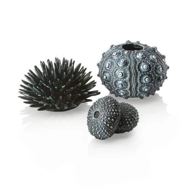 biOrb Set d'oursins noirs
